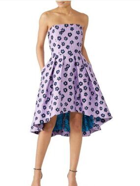 Shoshanna Novara Dress Size 8